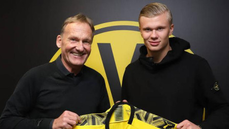 伦敦奥运马术冠军两匹传奇坐骑同日安乐死 伴随骑手共创20年辉煌岁月（陪伴骑手辉煌二十年的伦敦奥运马术冠军两大名驹同日安乐离世）